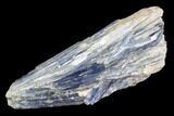 Vibrant Blue Kyanite Crystal Cluster - Brazil #95586-1